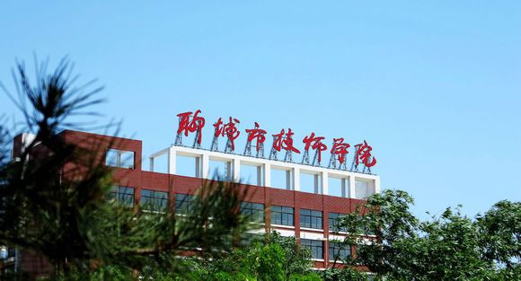 聊城市技師學院有計算機專業嗎？