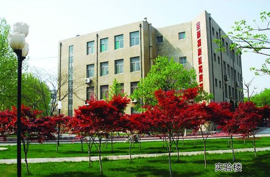 淄博市工業學校開設哪些計算機課程？