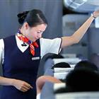 航空服務（票務、安檢方向）、航空乘務定向委培